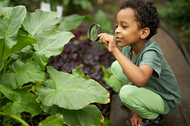 kid-exploring-plants