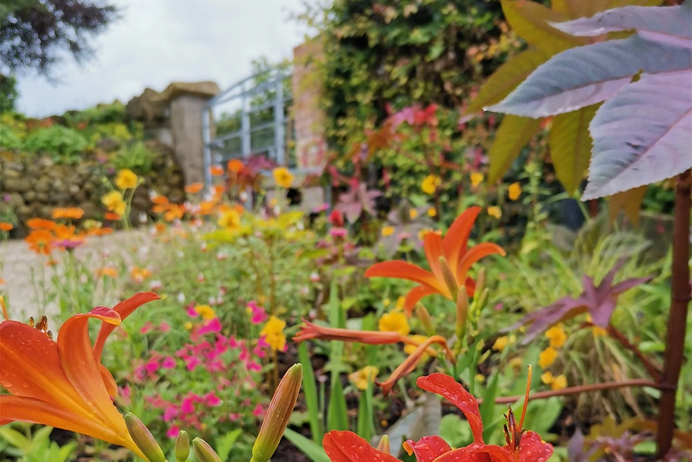 phillip-stewart-garden