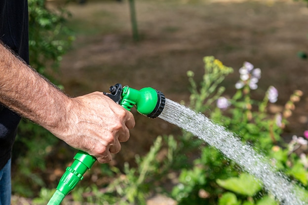 watering-and-irrigation image