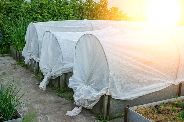 Your-Autumn-Gardening-Guide-Tip-For-Winter