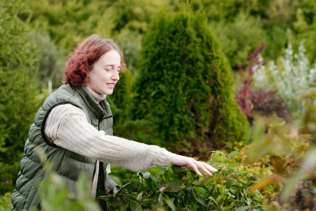 Your-Autumn-Gardening-Guide-Trees_and_Shrubs