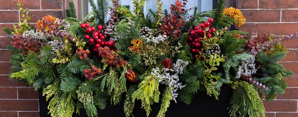 window-box-feature-image