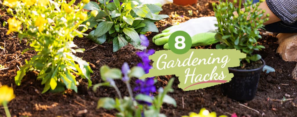 8-easy-gardening-hacks-internal-header