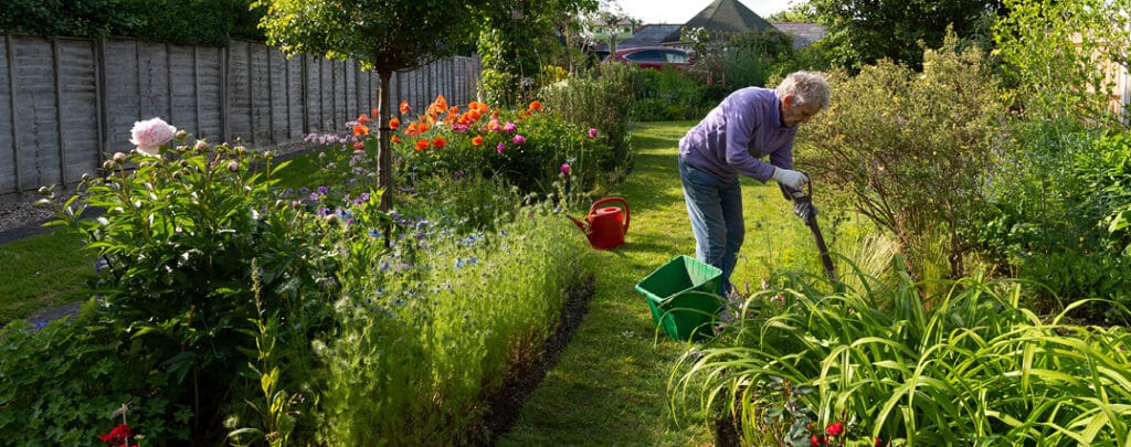 companion-planting-internal-header