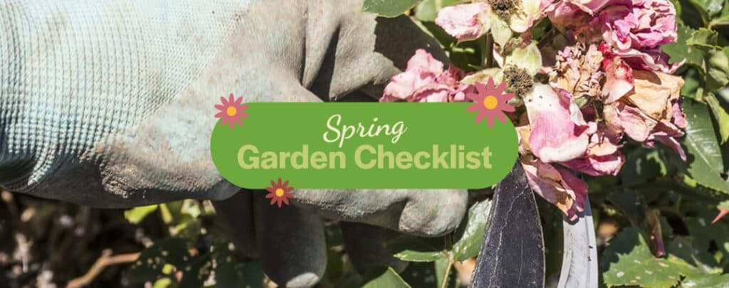 spring-garden-checklist-internal-header-image-02