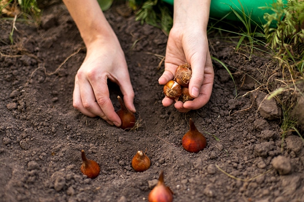 spring-garden-checklist-internal-image-02