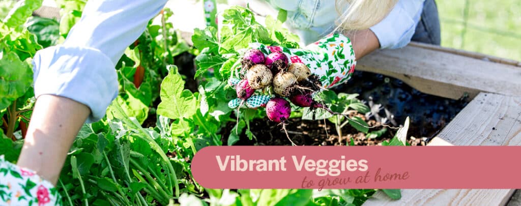 vibrant-veggies-to-grow-at-home-internal-banner-02