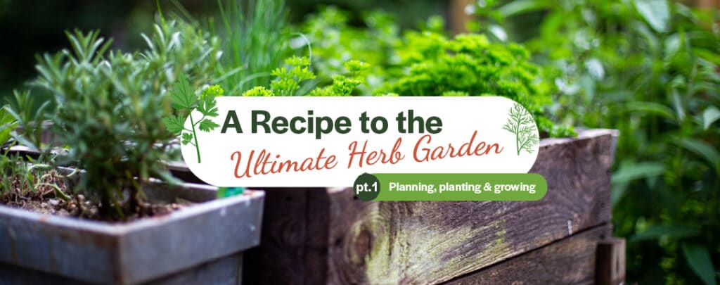 a-recipe-to-the-ultimate-herb-garden-feature-image-1
