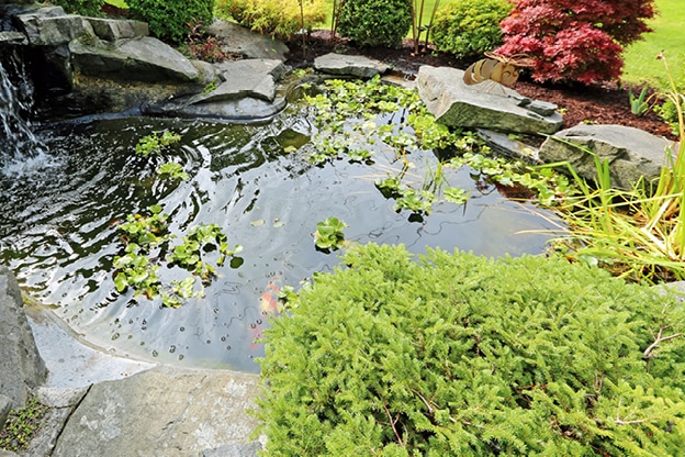 eco-friendly-tips-for-sustainable-gardening-internal-image-4
