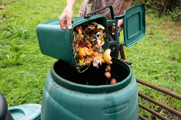 eco-friendly-tips-for-sustainable-gardening-internal-image-5