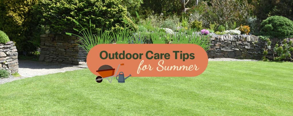 outdoor-care-tips-for-summer-feature-image-2