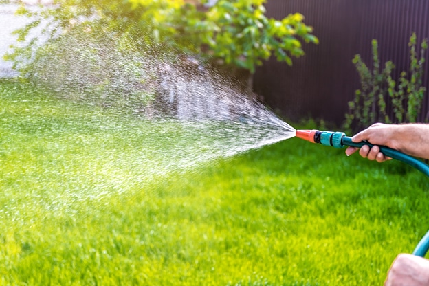 outdoor-care-tips-for-summer-internal-image-1