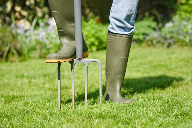 outdoor-care-tips-for-summer-internal-image-3