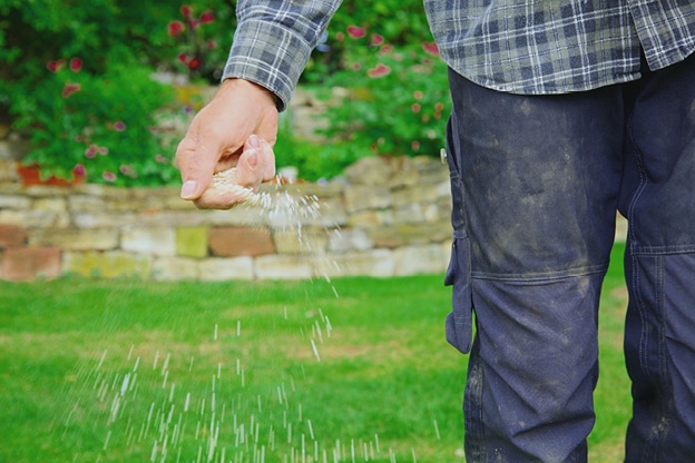 outdoor-care-tips-for-summer-internal-image-5